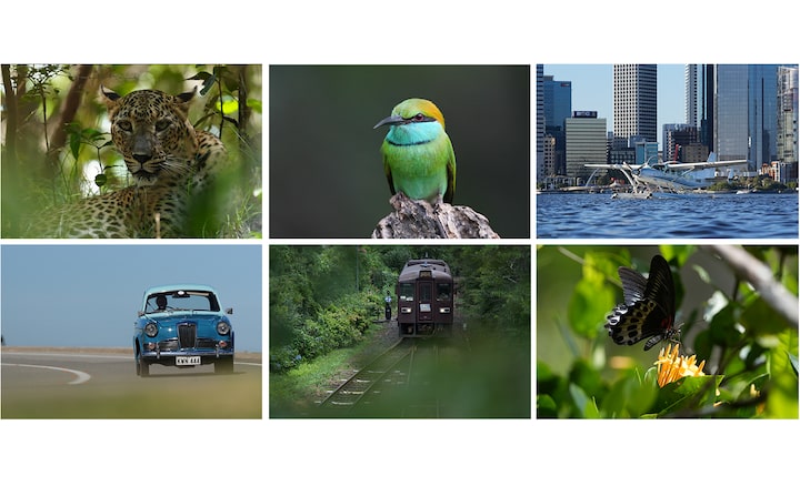 Sample photos of recognisable subjects: leopard, bird, aeroplane, car, train, butterfly.