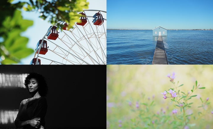 Four sample photos of Creative look: Ferris wheel, boathouse, portrait of a woman, macro of wildflowers