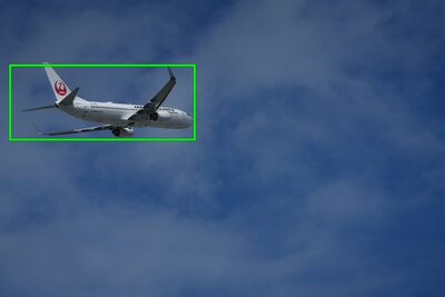 Example image showing subject type (aeroplane) recognisable by the camera's AI