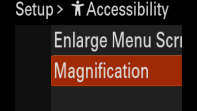 Image of camera display showing Enlarge Screen setting menu (Magnification 2.5x)